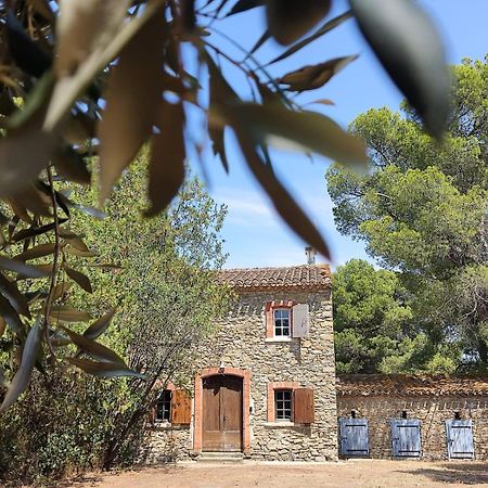 Mazet Du Chateau Joyeux De Violet Pepieux Экстерьер фото